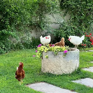 Terre Di Senia Chiaramonte Gulfi